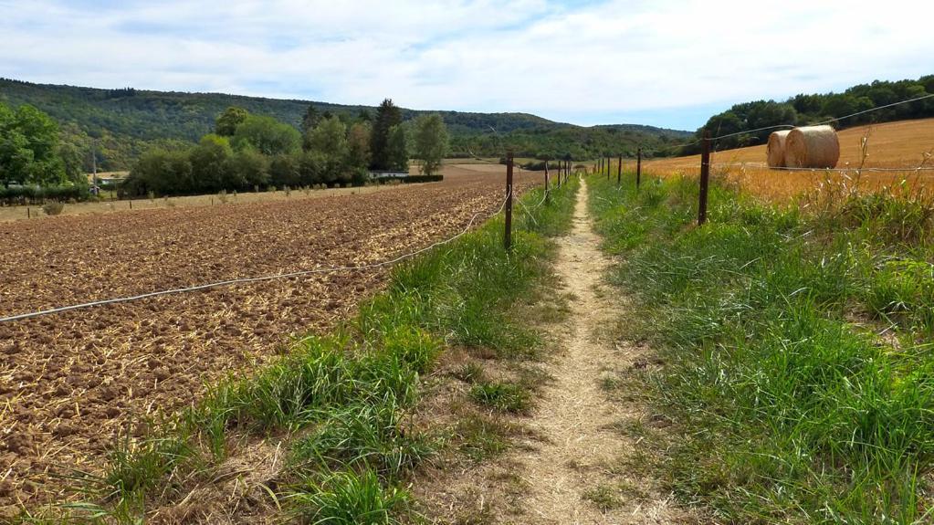 Gite D L'Ardoise Prive Fumay Exterior foto